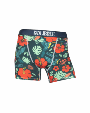 Boxer Koli Séré