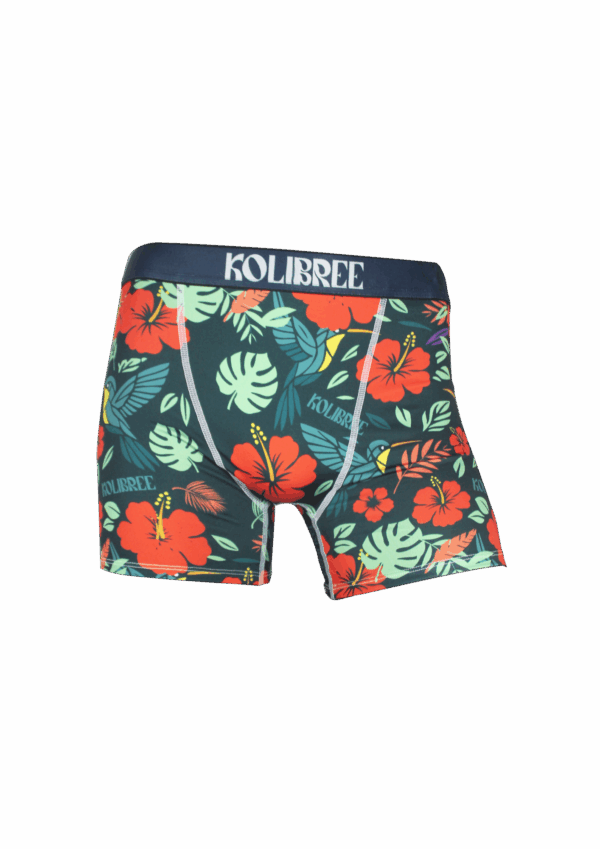 Boxer Koli Séré